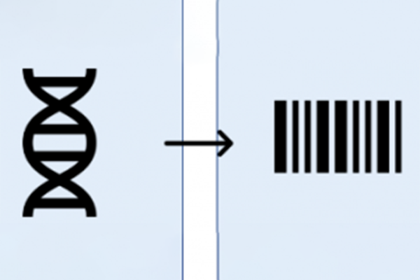 Code à barres de suivi à cellule unique